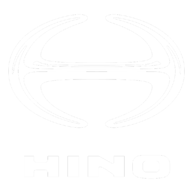 Hino Zimbabwe Case Study